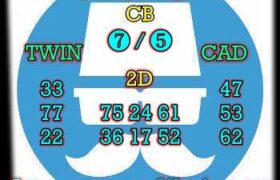 prediksi sgp 12 juni 2024